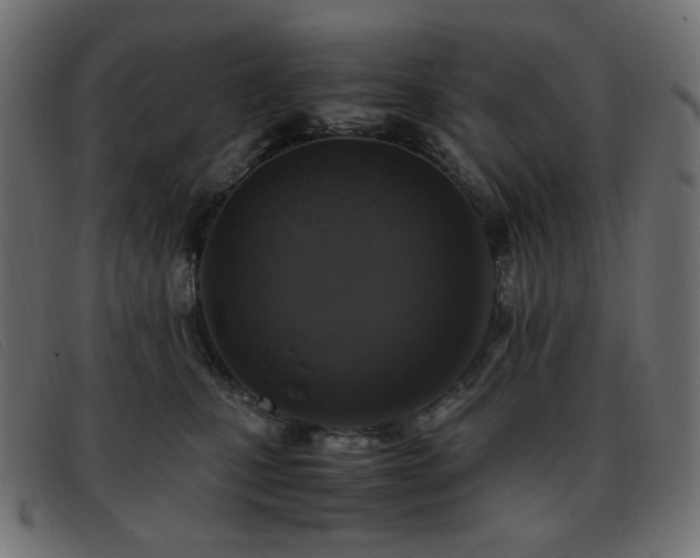 X0000093370471200710111440