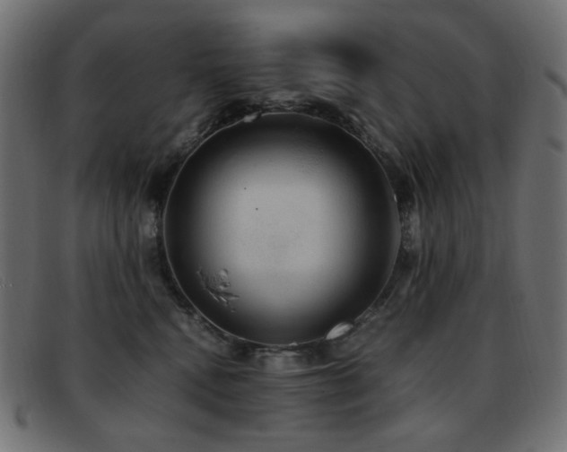 X0000093370472200710111440