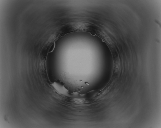 X0000093370473200710111440