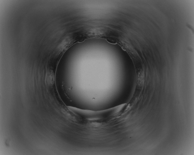 X0000093370474200710111440