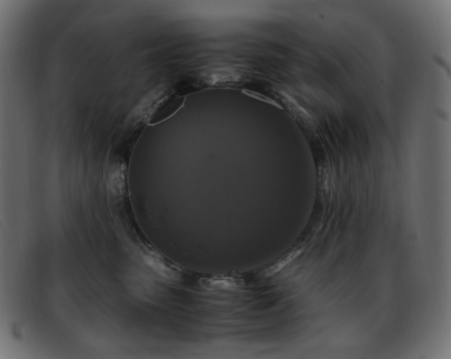 X0000093370475200710111440