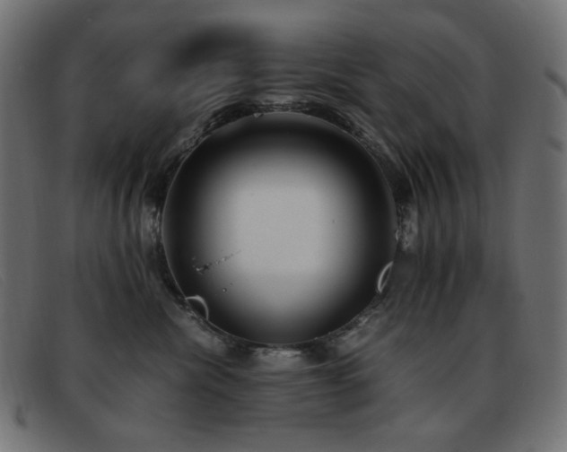 X0000093370476200710111440