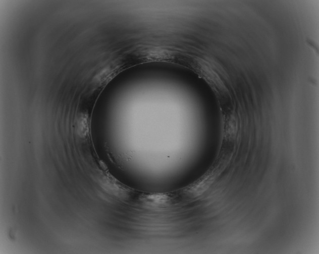 X0000093370478200710111440