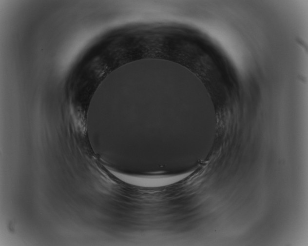 X0000093370479200710111440