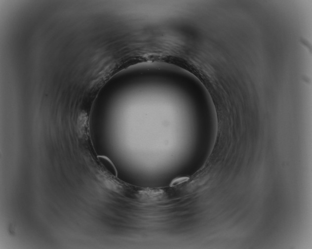 X0000093370480200710111440