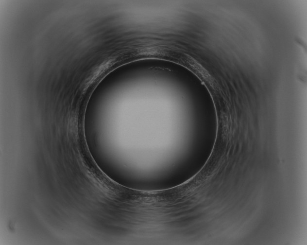 X0000093370482200710111439
