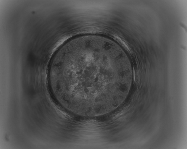 X0000093370483200710111439