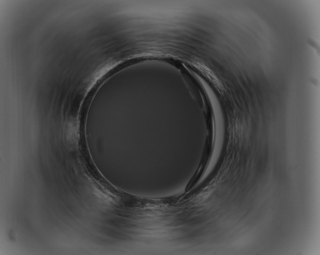 X0000093370484200710111439