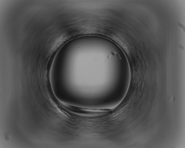 X0000093370485200710111439