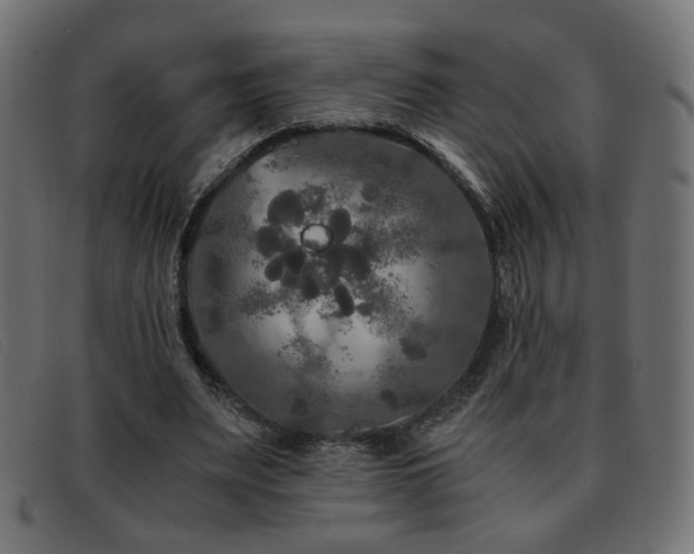 X0000093370487200710111439