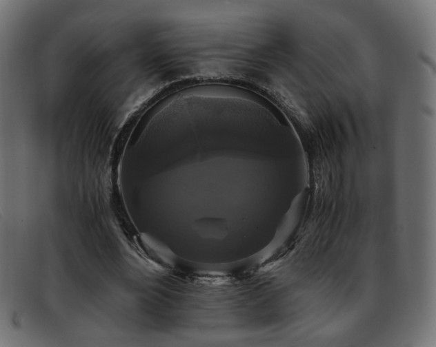 X0000093370488200710111439