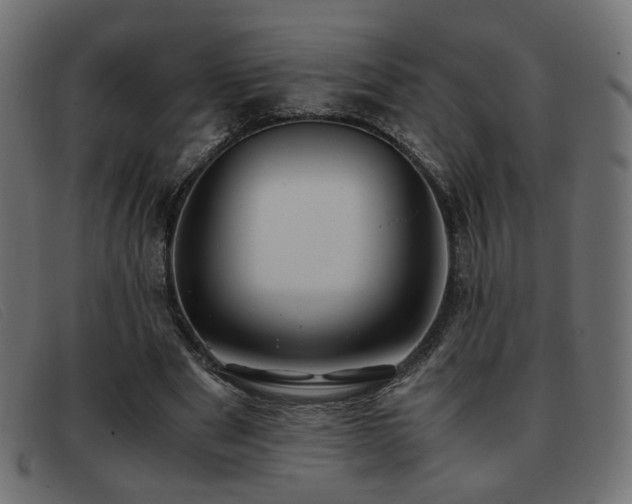 X0000093370489200710111439