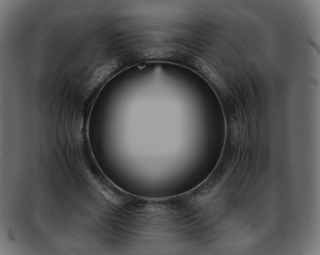 X0000093370490200710111439