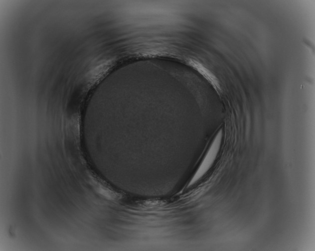 X0000093370493200710111439