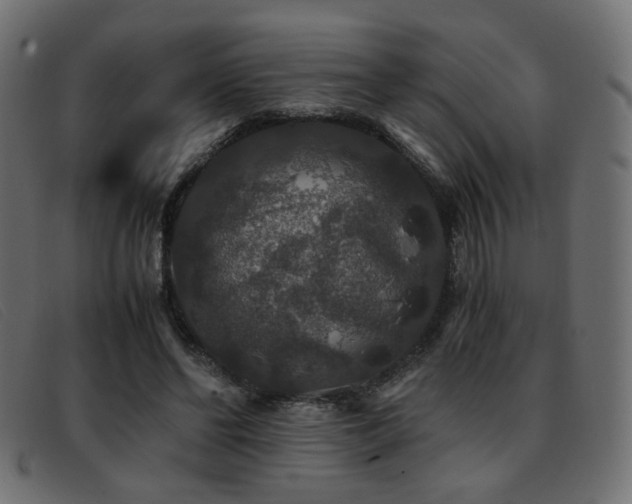 X0000093370494200710111439