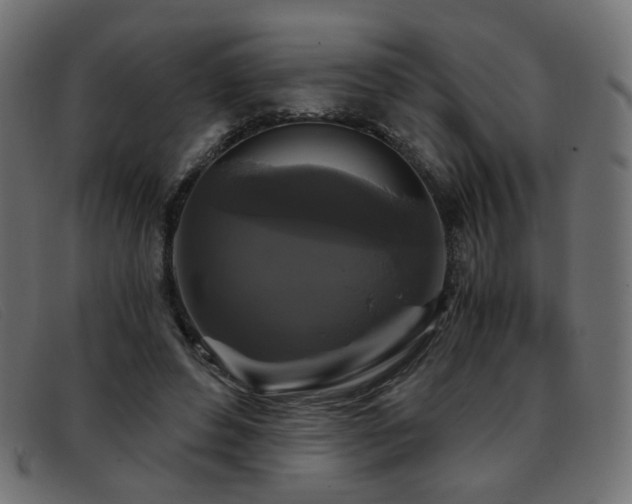 X0000093370496200710111439