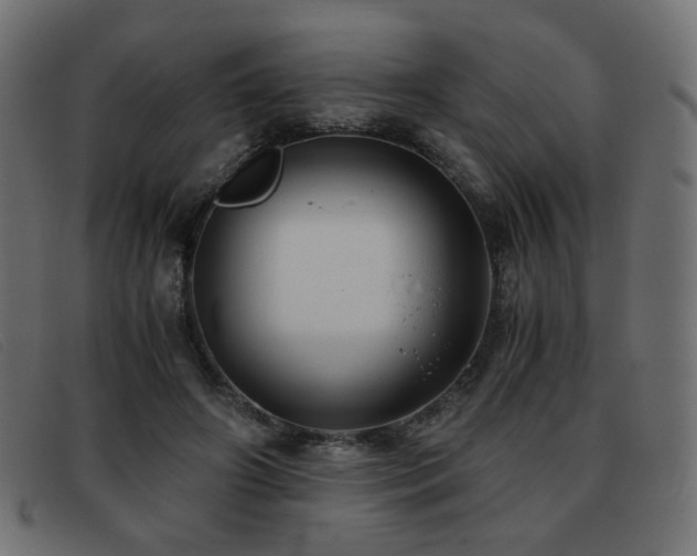 X0000093370498200710111439