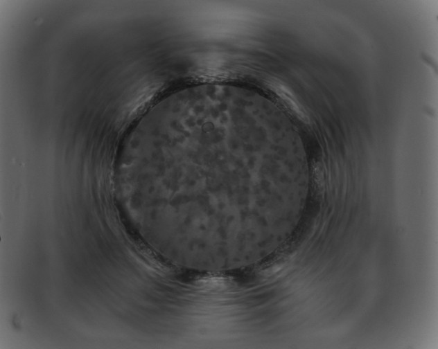 X0000093370499200710111439