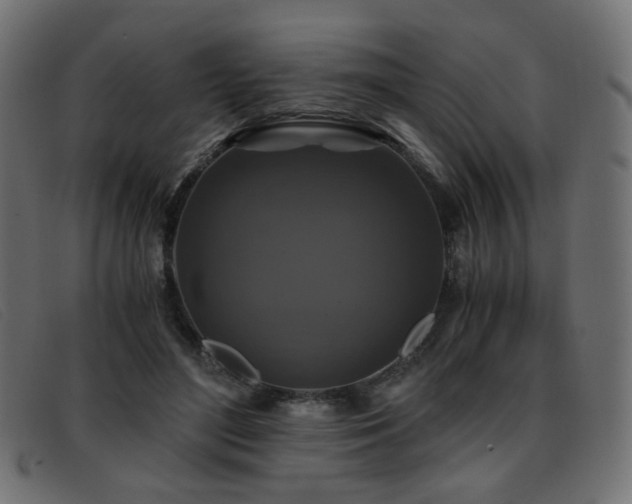 X0000093370500200710111439