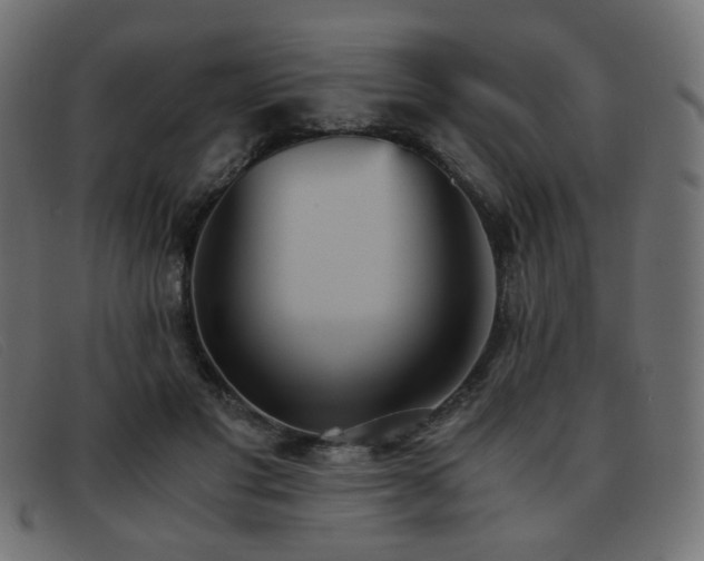 X0000093370501200710111439