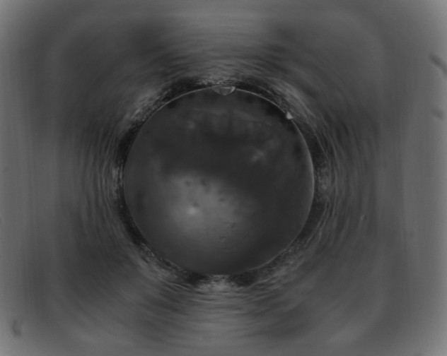 X0000093370503200710111439