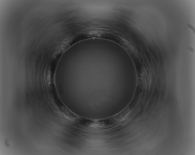 X0000093370504200710111439