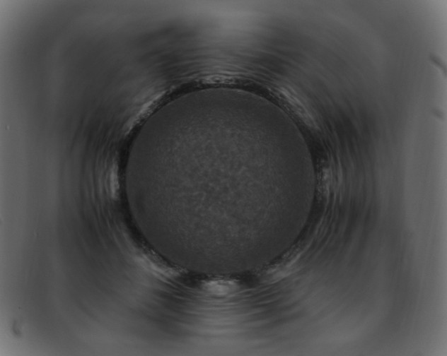 X0000093370508200710111439