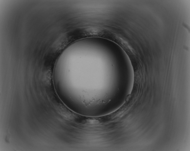 X0000093370509200710111439