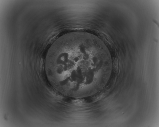X0000093370511200710111439