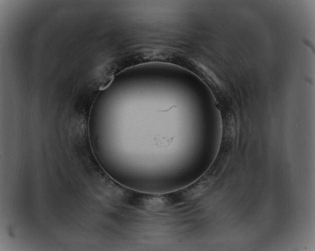 X0000093370513200710111439