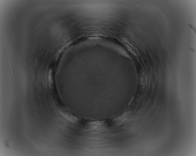 X0000093370516200710111439
