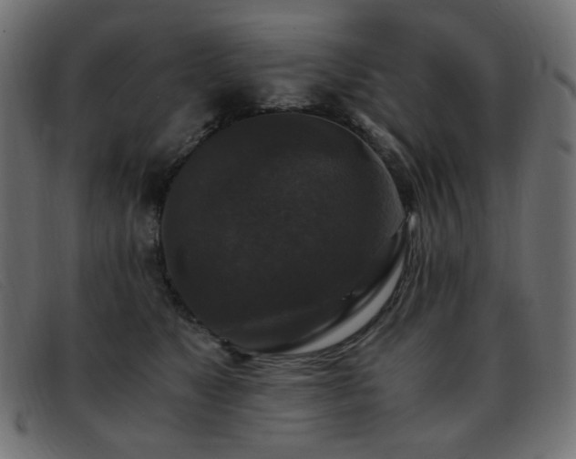 X0000093370517200710111439