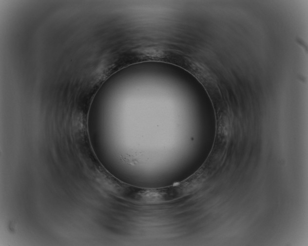 X0000093370518200710111439
