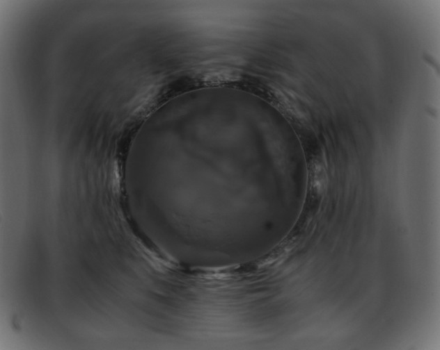 X0000093370519200710111439