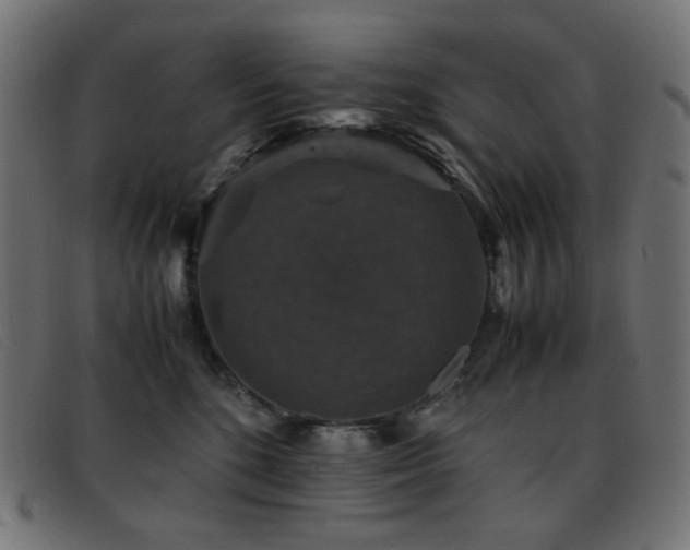 X0000093370520200710111439