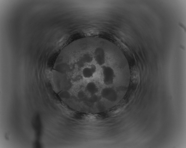 X0000093370523200710111439