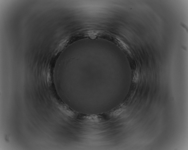X0000093370524200710111439