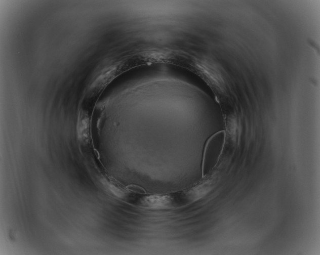 X0000093370526200710111439