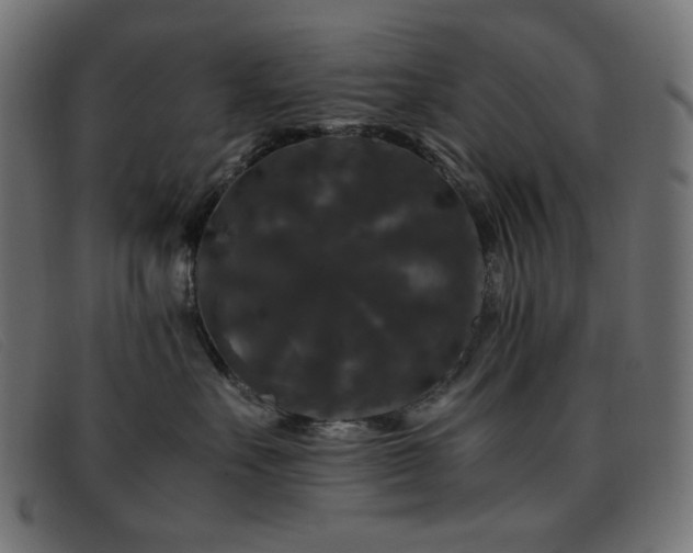 X0000093370527200710111439