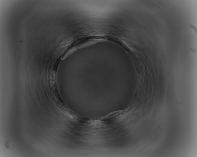 X0000093370528200710111439