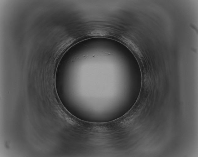 X0000093370529200710111438