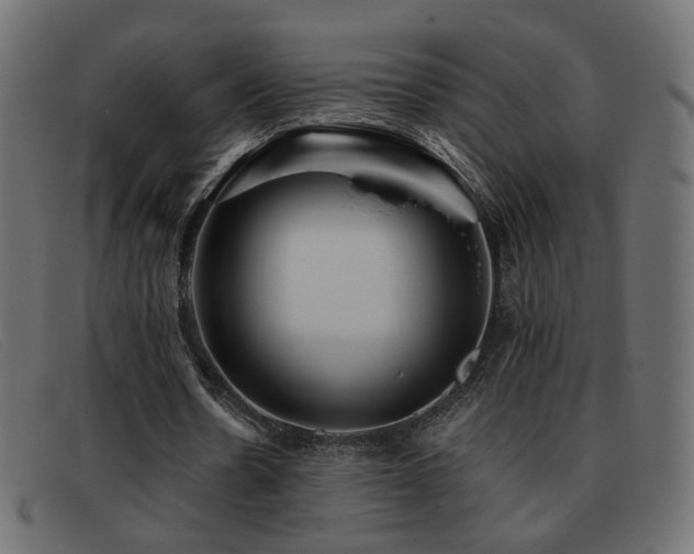 X0000093370530200710111438
