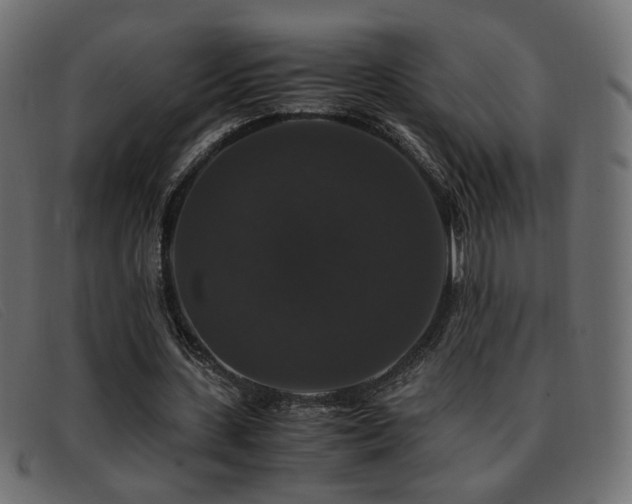 X0000093370531200710111438