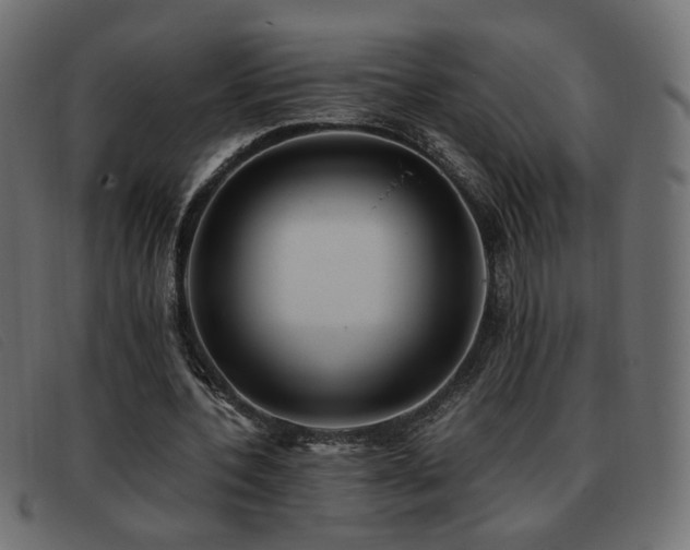 X0000093370532200710111438