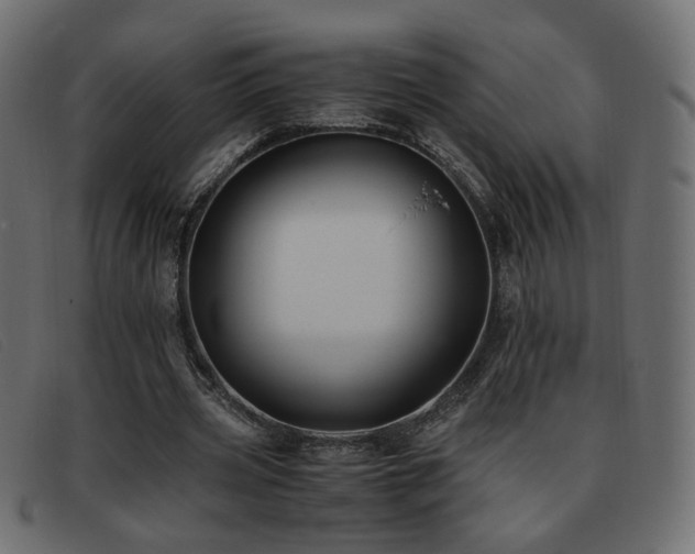 X0000093370533200710111438