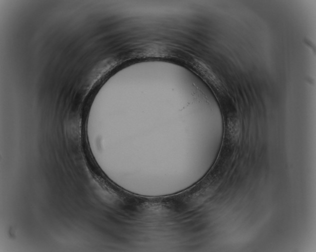 X0000093370534200710111438