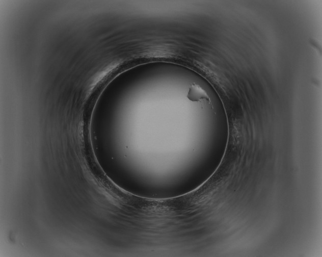 X0000093370535200710111438