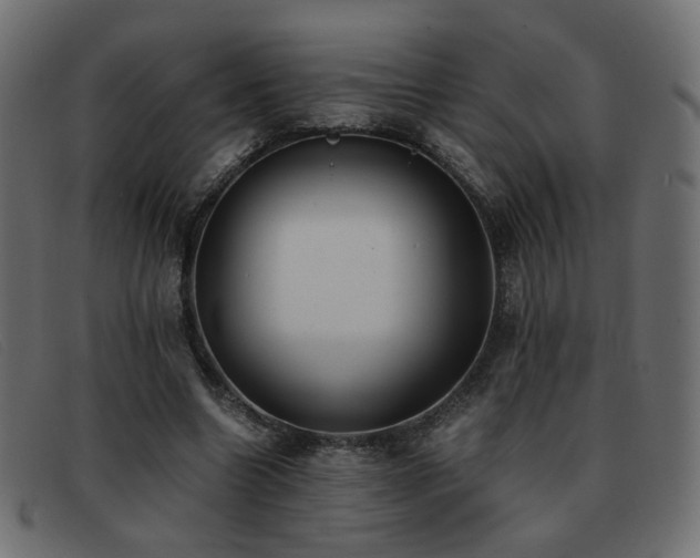 X0000093370538200710111438