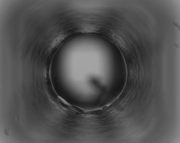 X0000093370539200710111438