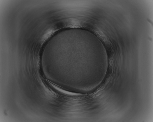 X0000093370540200710111438